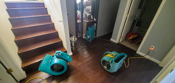 Best Commercial water damage restoration  in Mayer, AZ