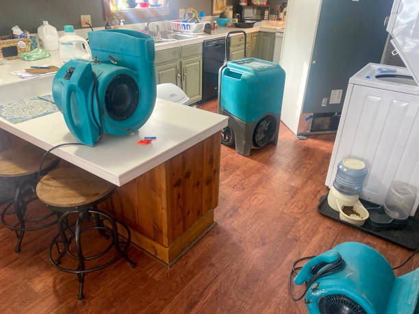 Local water damage restoration in Mayer, AZ