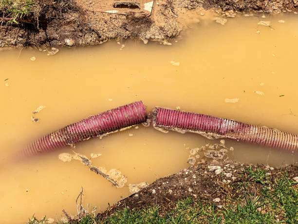 Best Residential water damage restoration  in Mayer, AZ