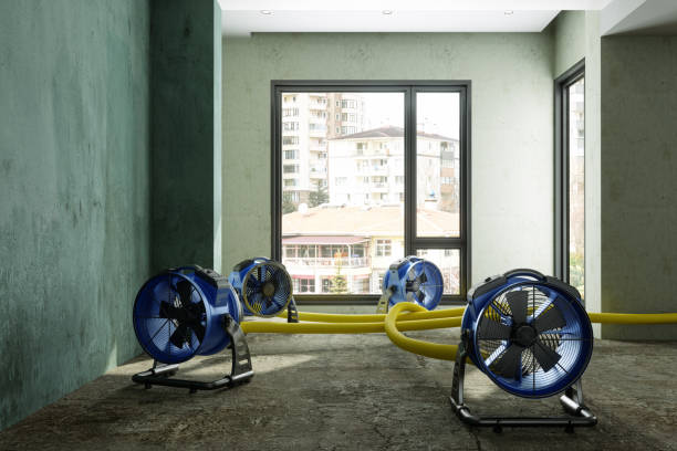 Best Local water damage restoration  in Mayer, AZ